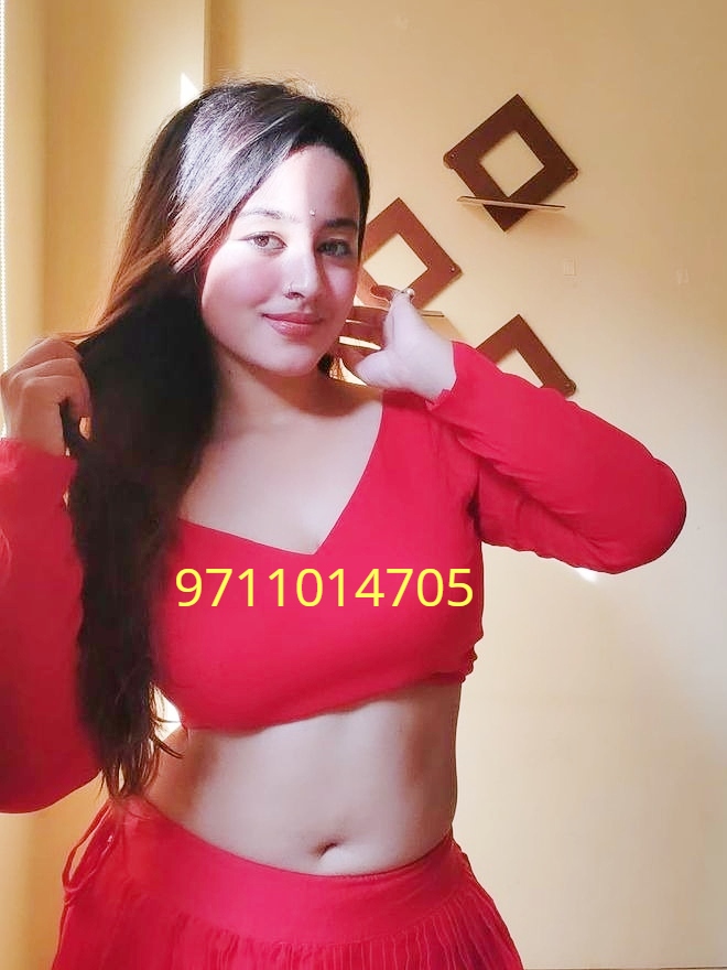 Call Girls In Delhi Adarsh Nagar ➙ⴵ9711014705ⴵ-(Delhi)