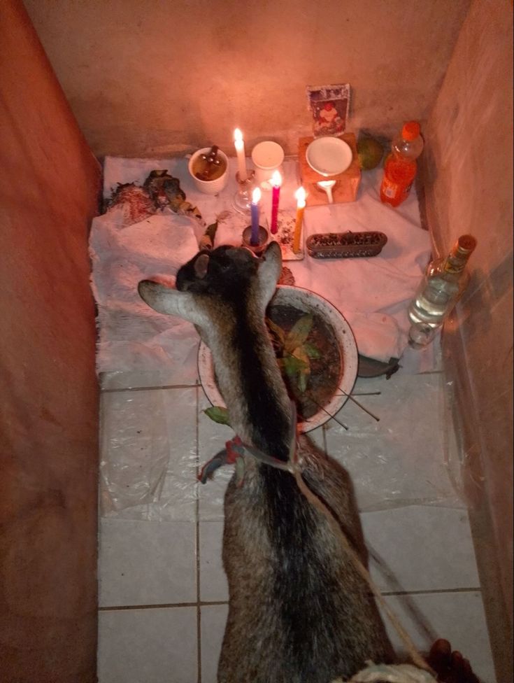 ∆+2349034922291$ I want to join Occult for money ritual in Abuja